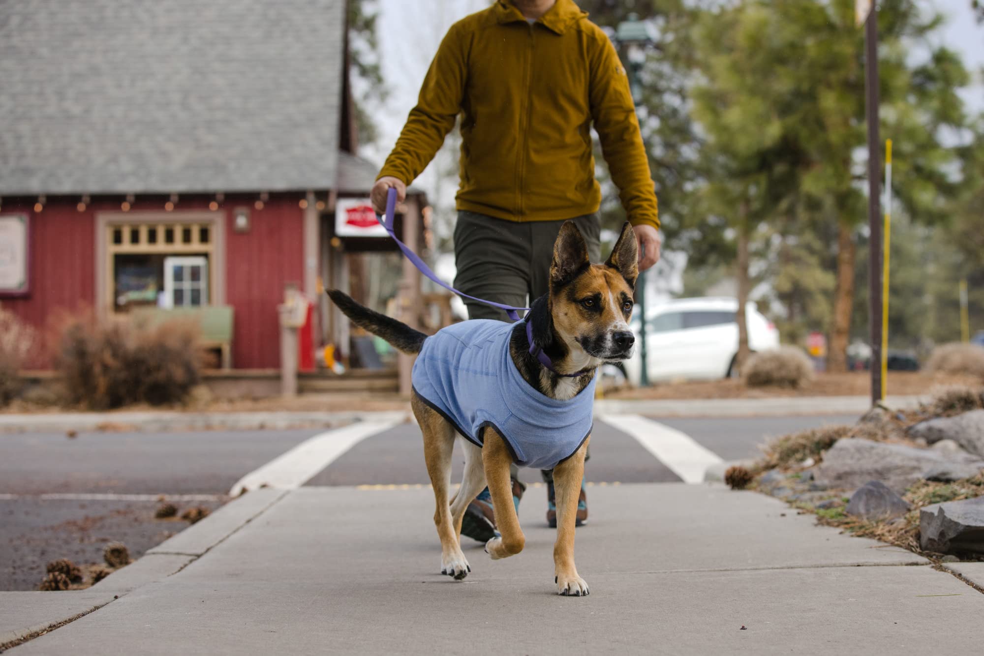 Ruffwear Hemp Hound Sweater ribete reflectante: visibilidad en poca luz.