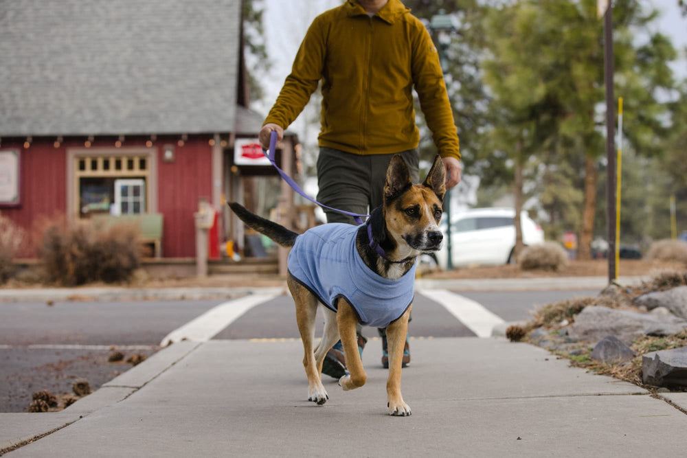 Ruffwear Hemp Hound Sweater ribete reflectante: visibilidad en poca luz.