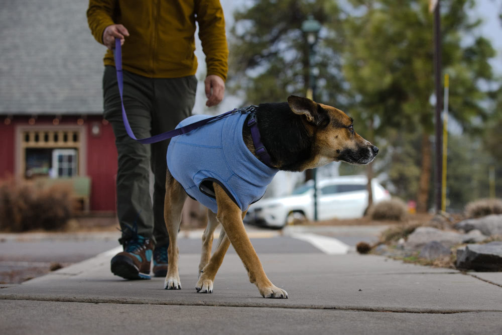 Ruffwear Hemp Hound Sweater uso urbano y sendero: versatilidad todo el año.