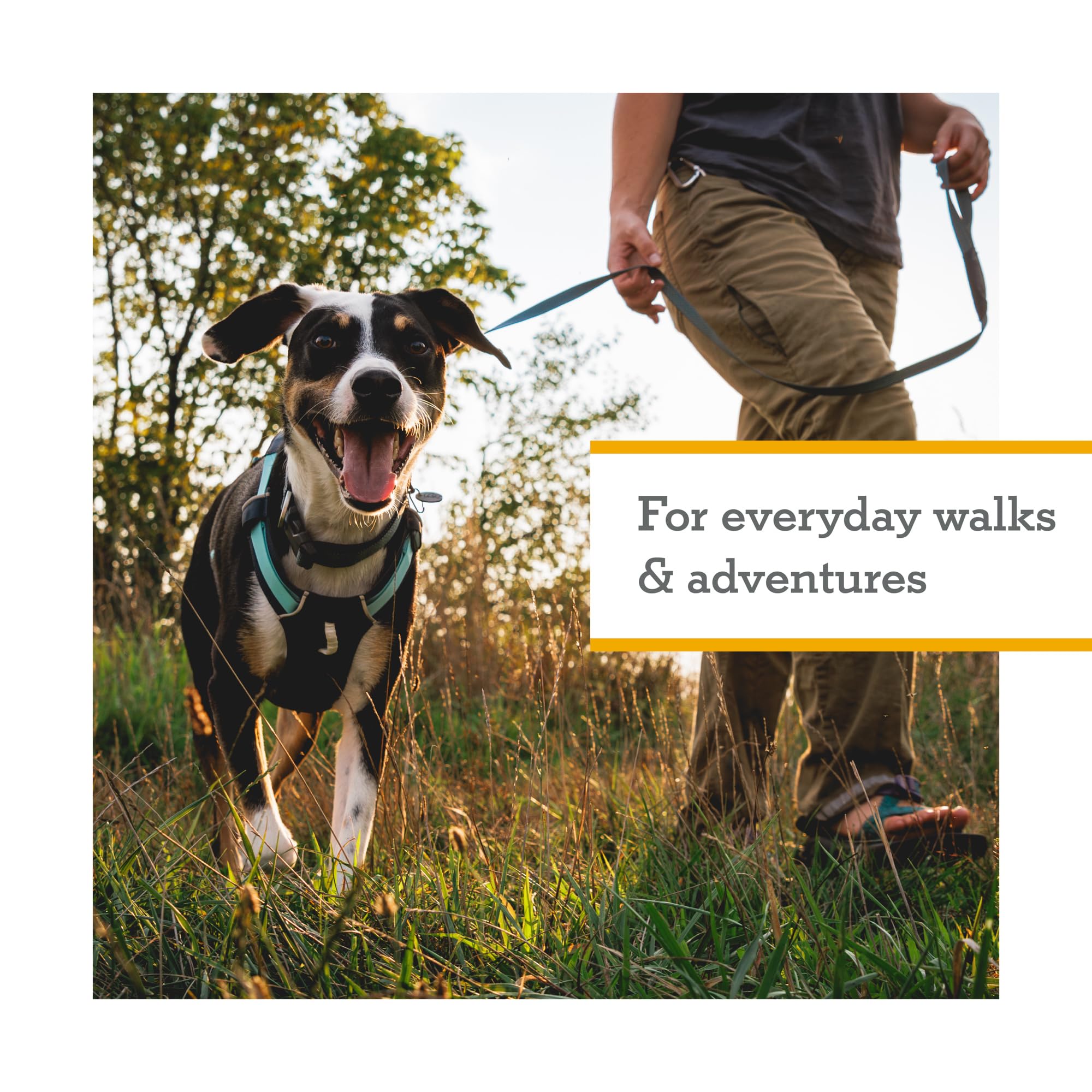 Ruffwear Hi & Light: ajuste a cuatro puntos para un ajuste seguro.