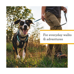 Ruffwear Hi & Light: ajuste a cuatro puntos para un ajuste seguro.