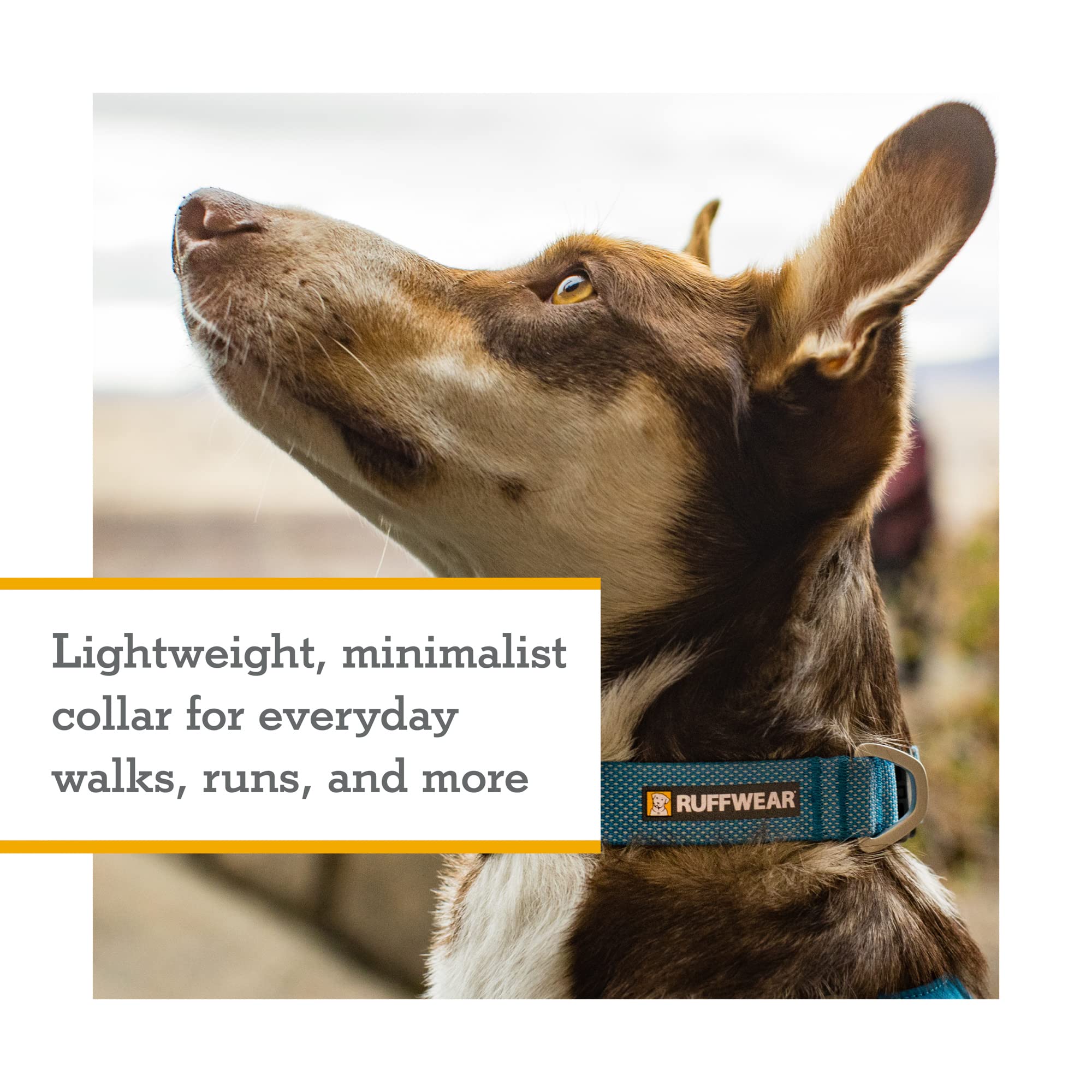 Ruffwear Hi & Light: elementos reflectantes para visibilidad nocturna.