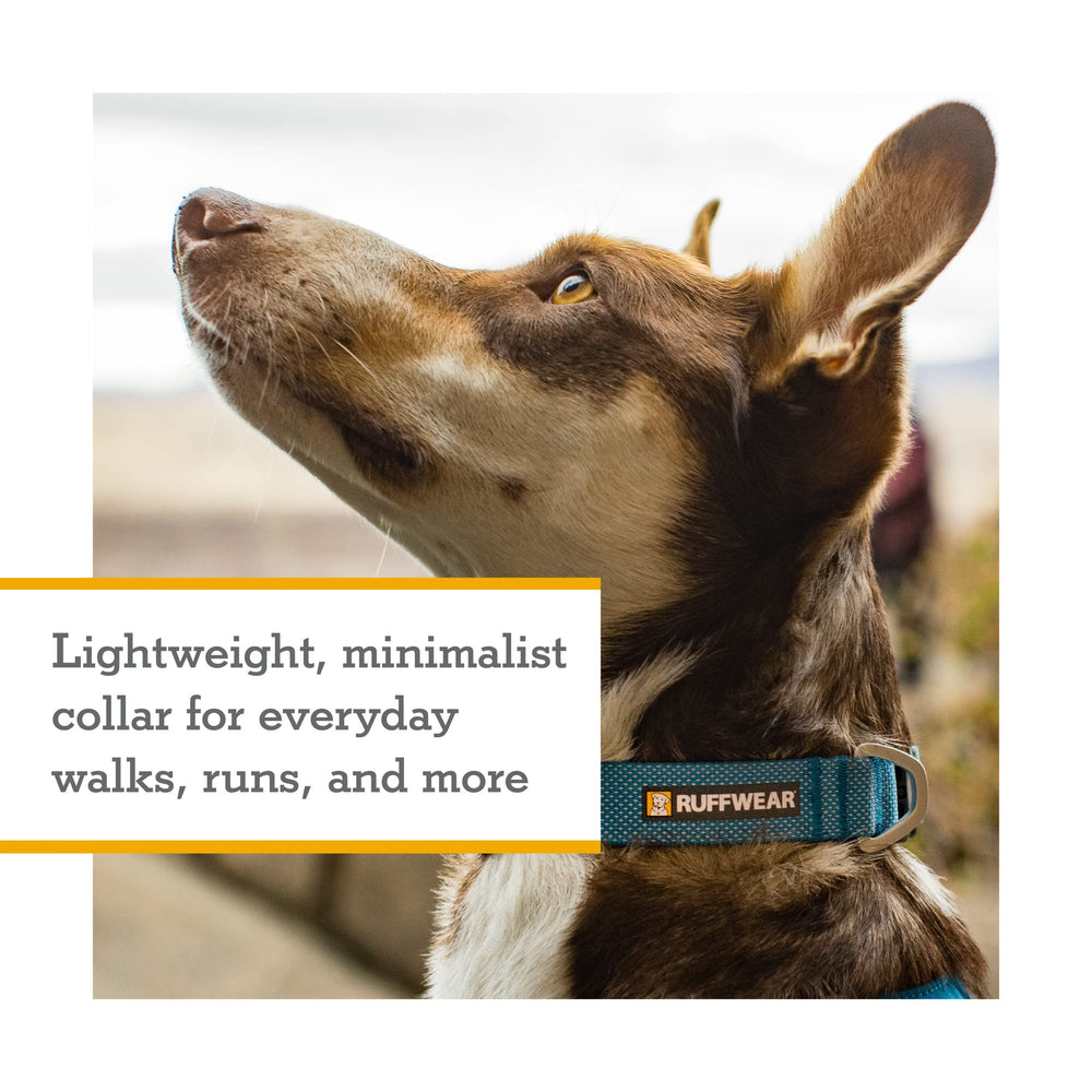 Ruffwear Hi & Light: elementos reflectantes para visibilidad nocturna.