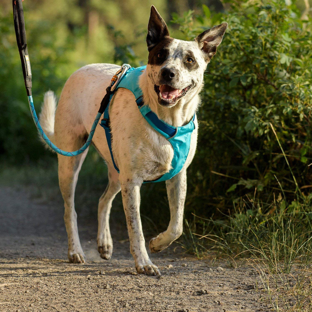 Ruffwear Hi & Light, diseño de perfil bajo para libertad de movimiento