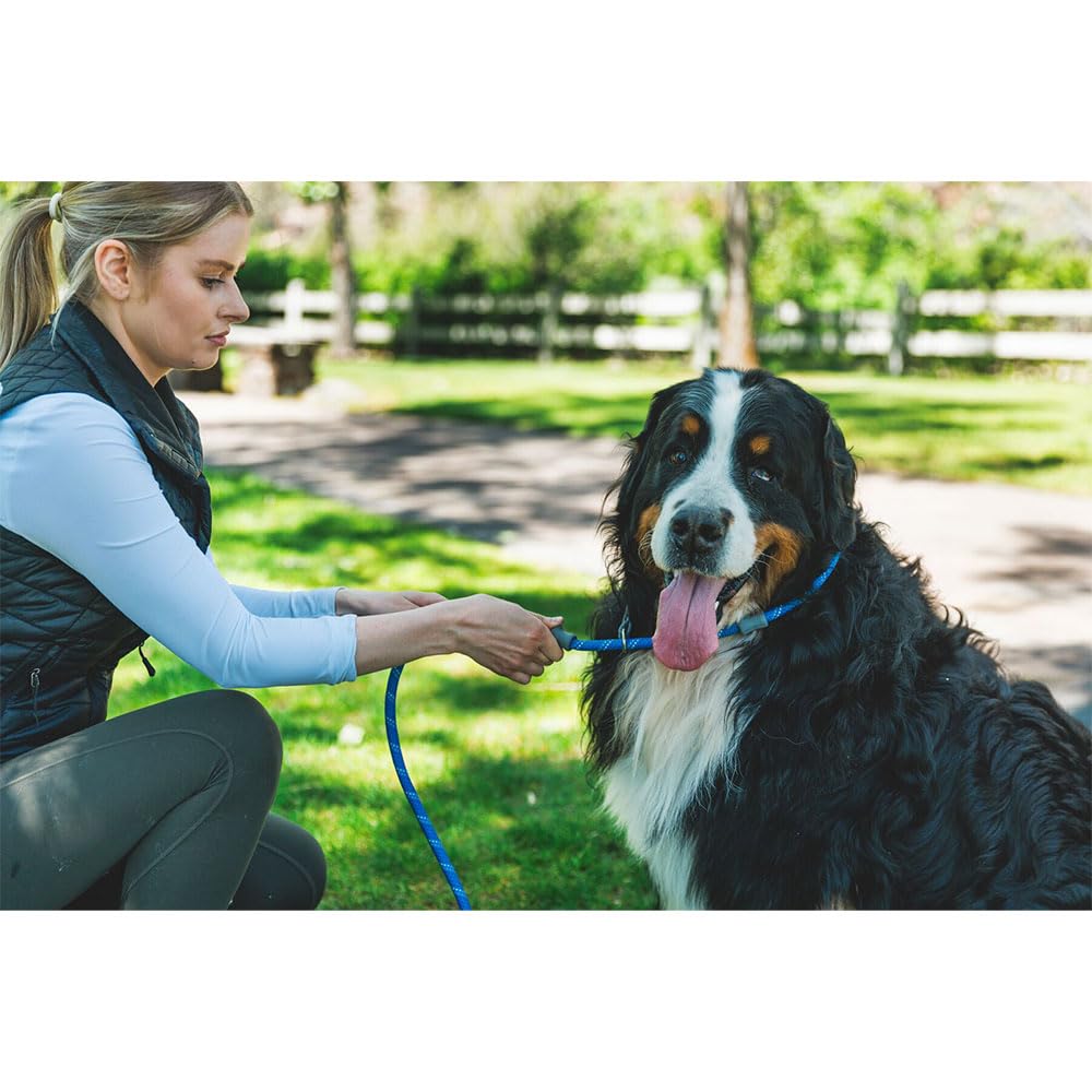 Ruffwear Just‑a‑Cinch: manejo cómodo durante caminatas en ciudad y campo.
