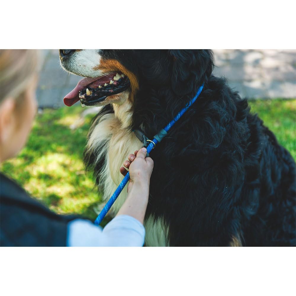 Ruffwear Just‑a‑Cinch: topes de silicona ajustables para ajuste personalizado.