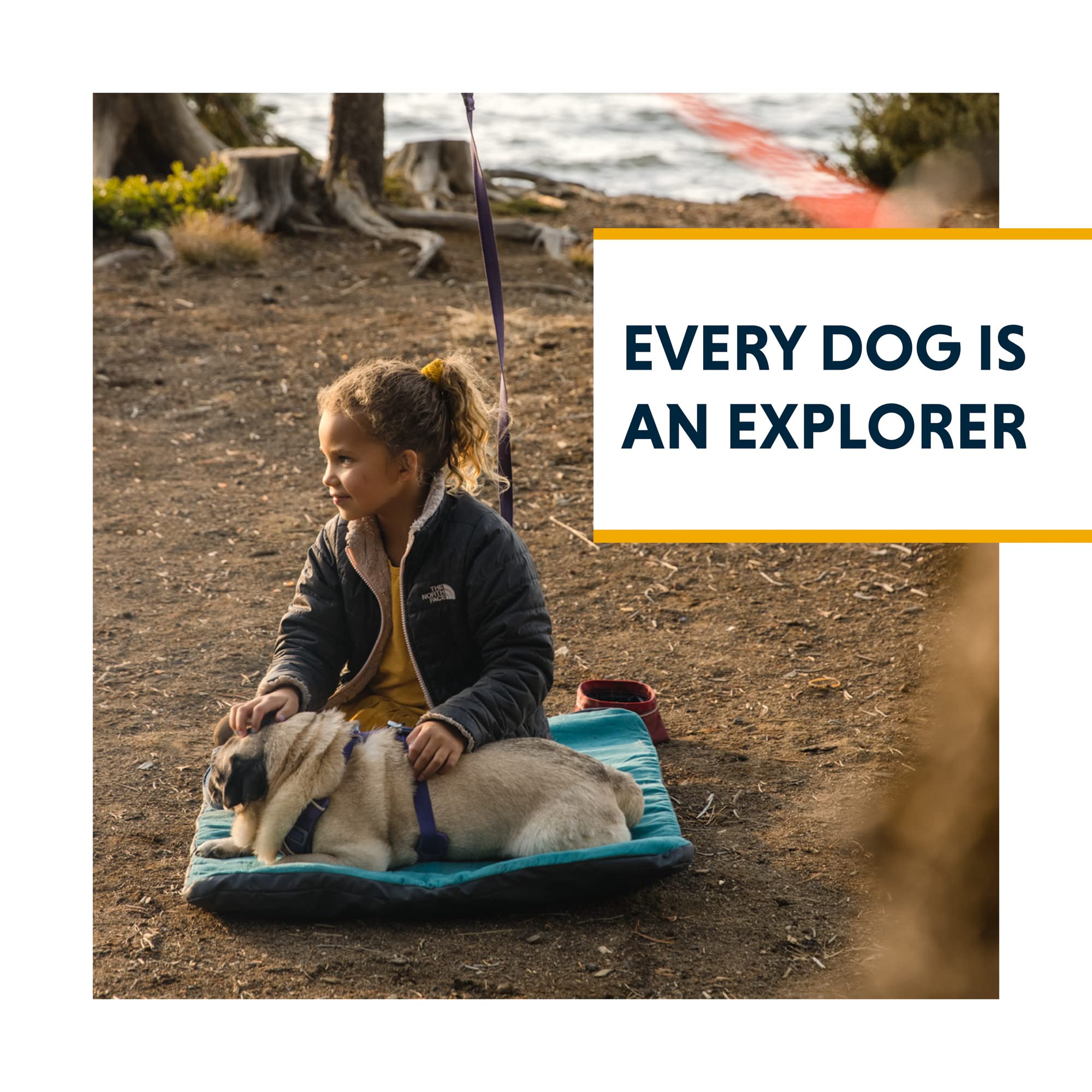 Ruffwear Knot-A-Hitch detalles resistentes al clima para manejo exterior.