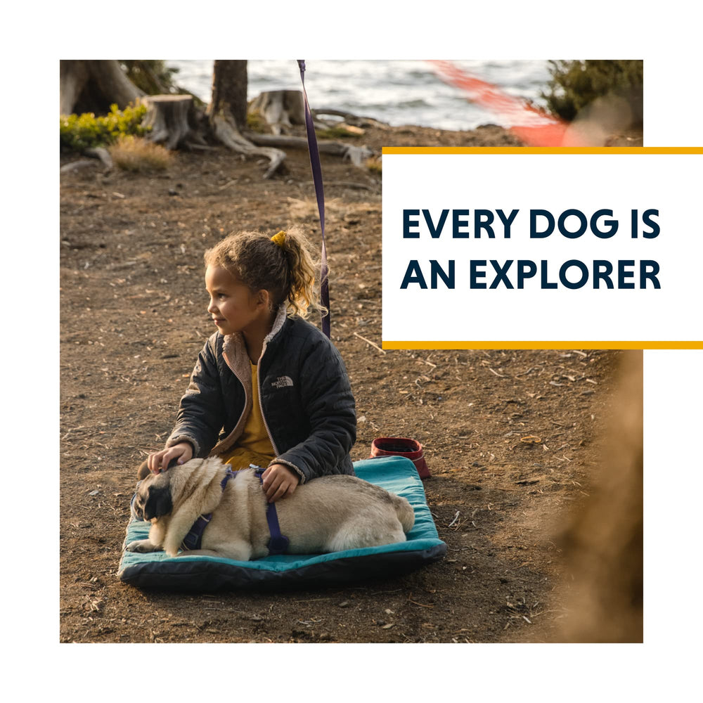 Ruffwear Knot-A-Hitch detalles resistentes al clima para manejo exterior.