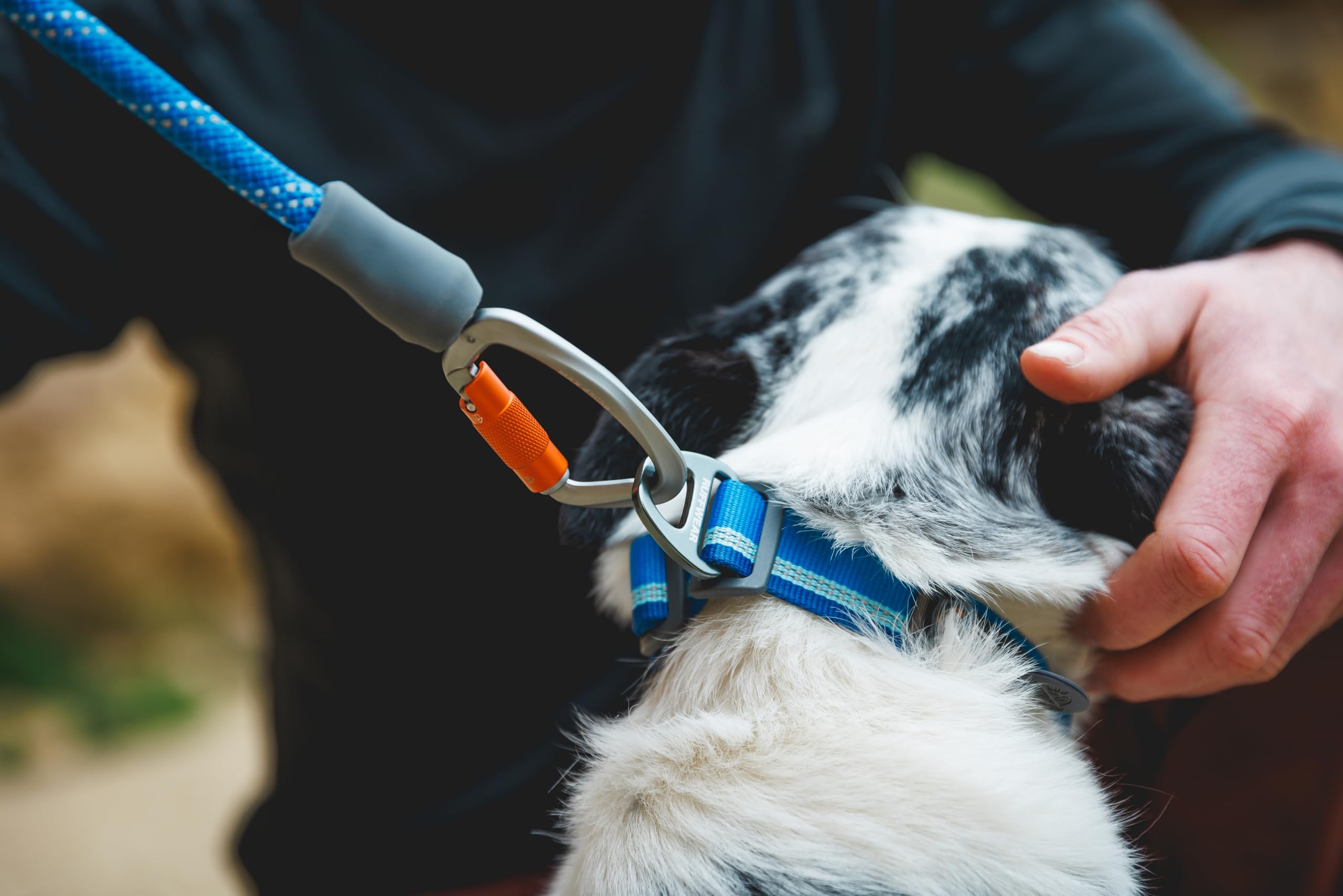 Ruffwear Knot-a-Leash talla grande para perros grandes