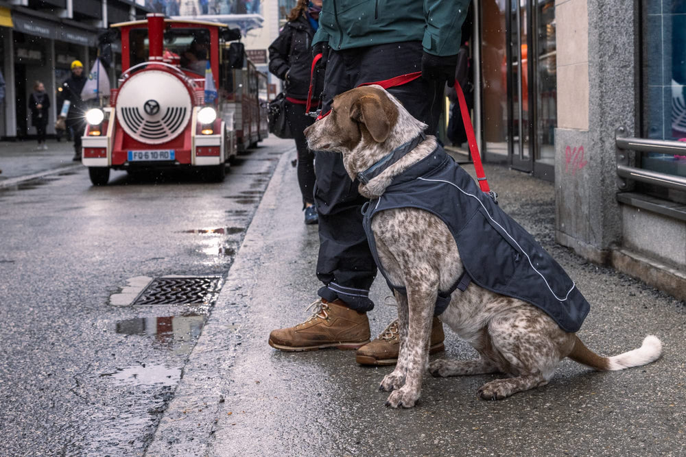 Prueba en campo y durabilidad garantizada de Ruffwear Overcoat Fuse.