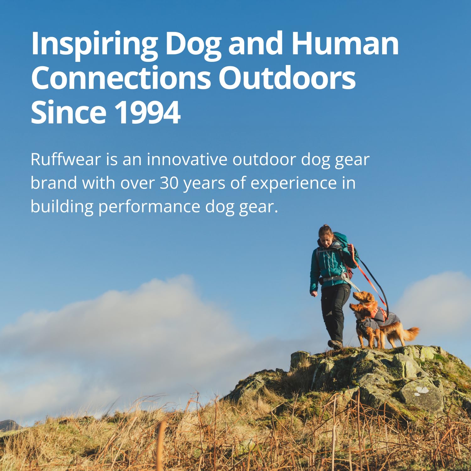 Ruffwear Powder Hound capa resistente a la lluvia en clima mixto