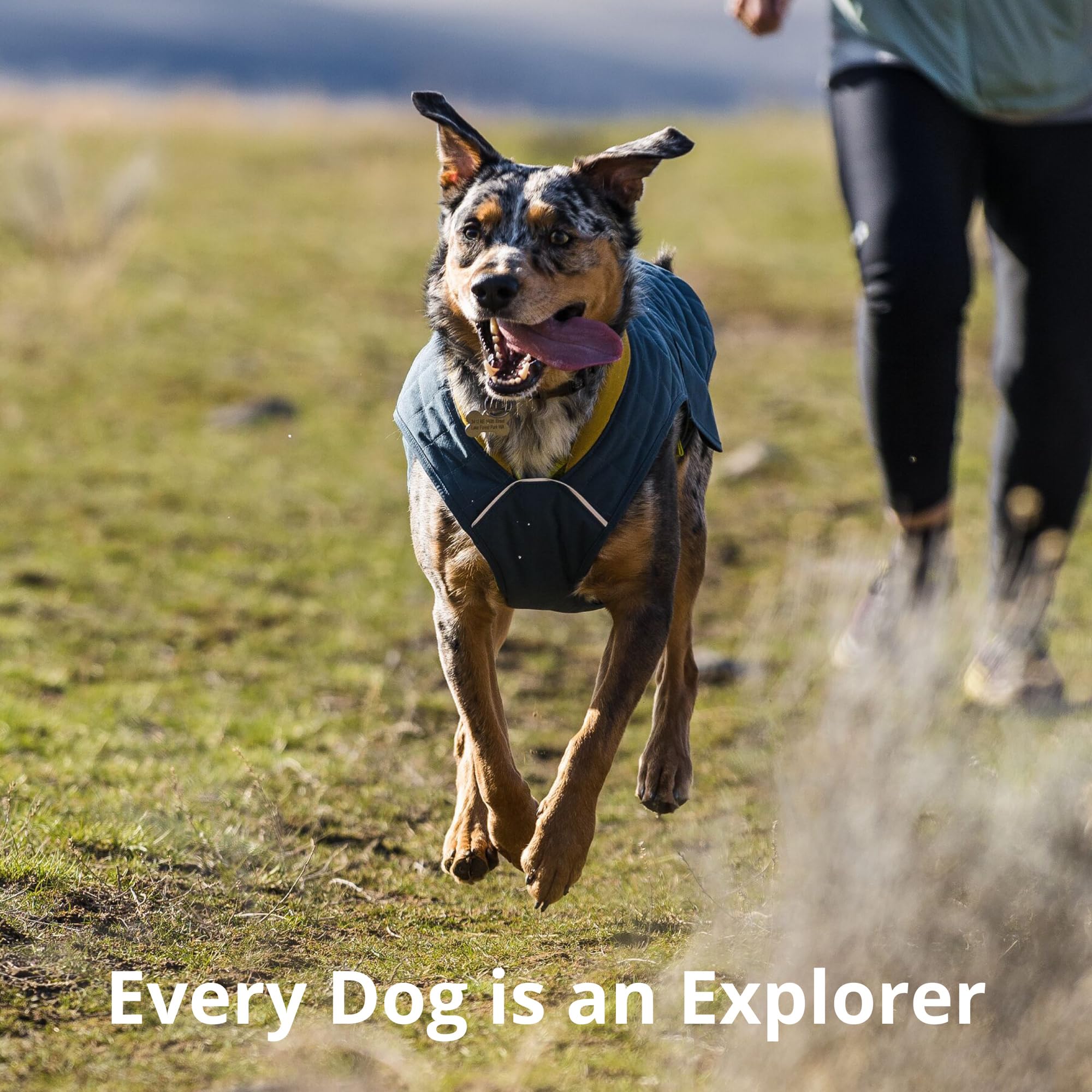 Ruffwear Stumptown Azul Orion ajuste cómodo para juegos al aire libre con perros