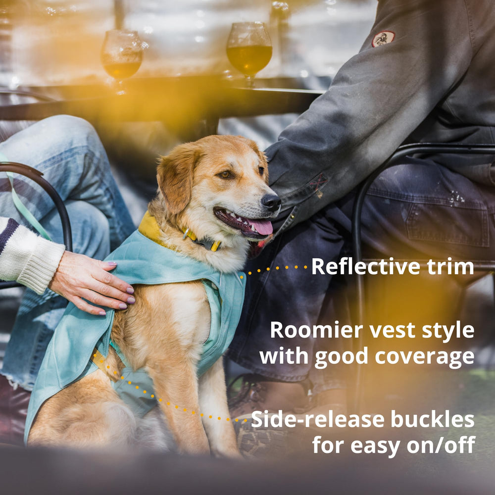 Ruffwear Stumptown, puerto para correa trasero para transiciones sin reconfigurar