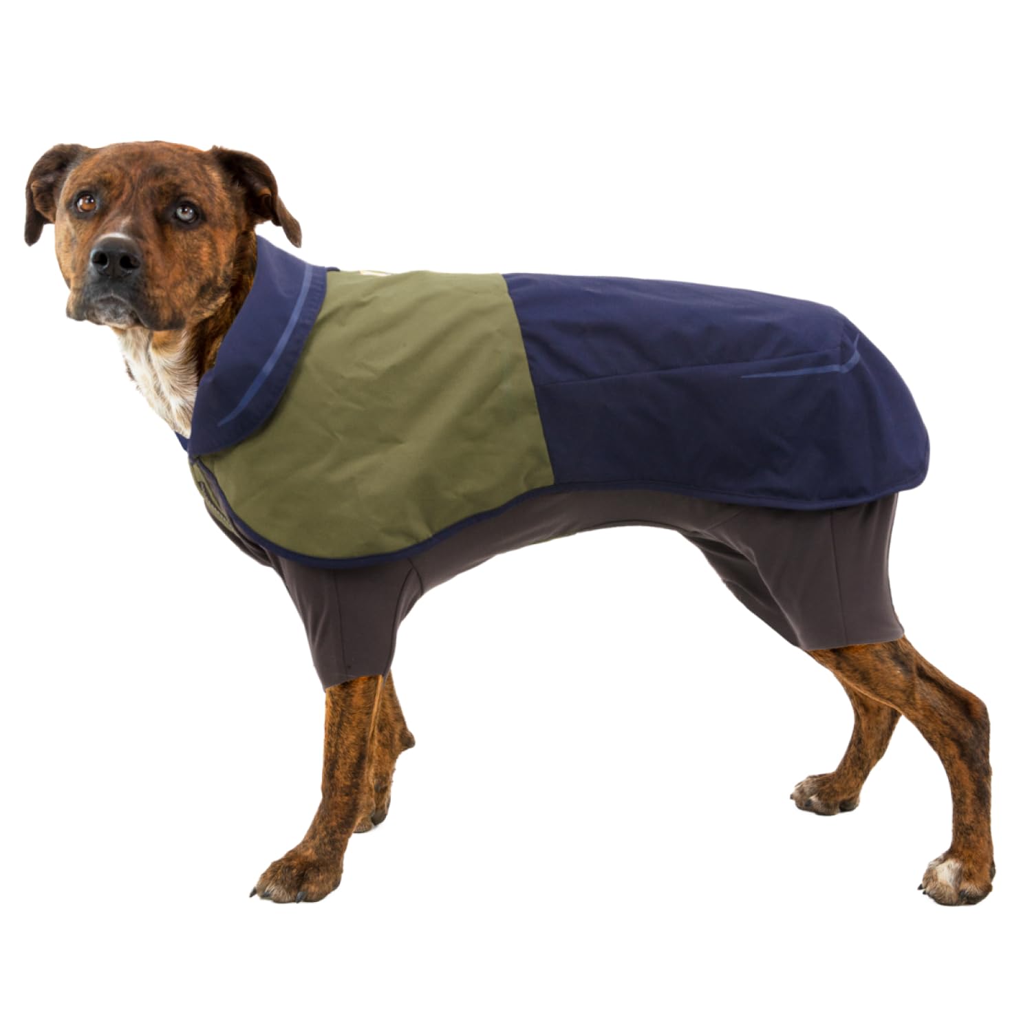 Ruffwear Sun Shower: capa impermeable que mantiene limpio al compañero durante salidas.