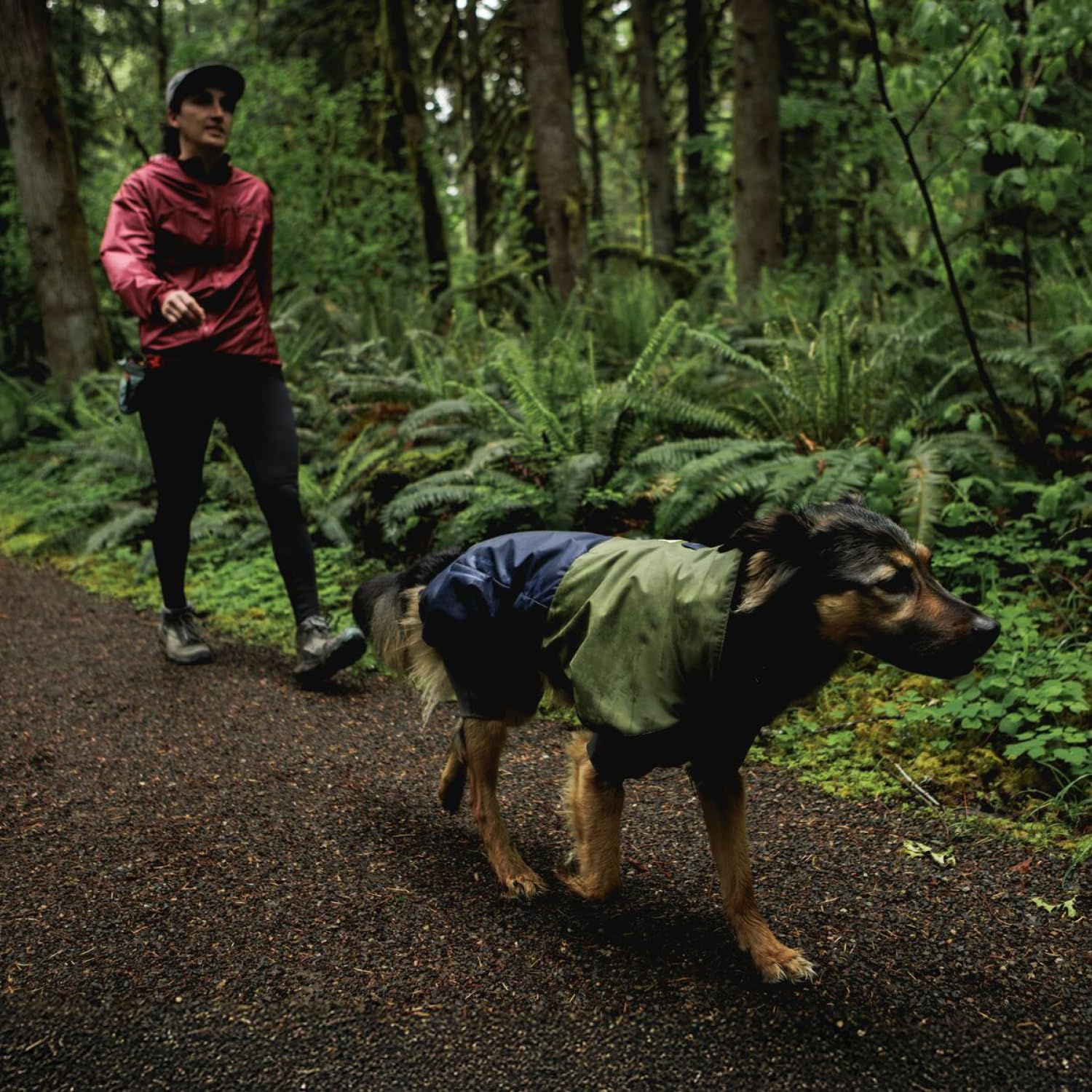 Ruffwear Sun Shower: portal de correa trasero para usar con arnés.