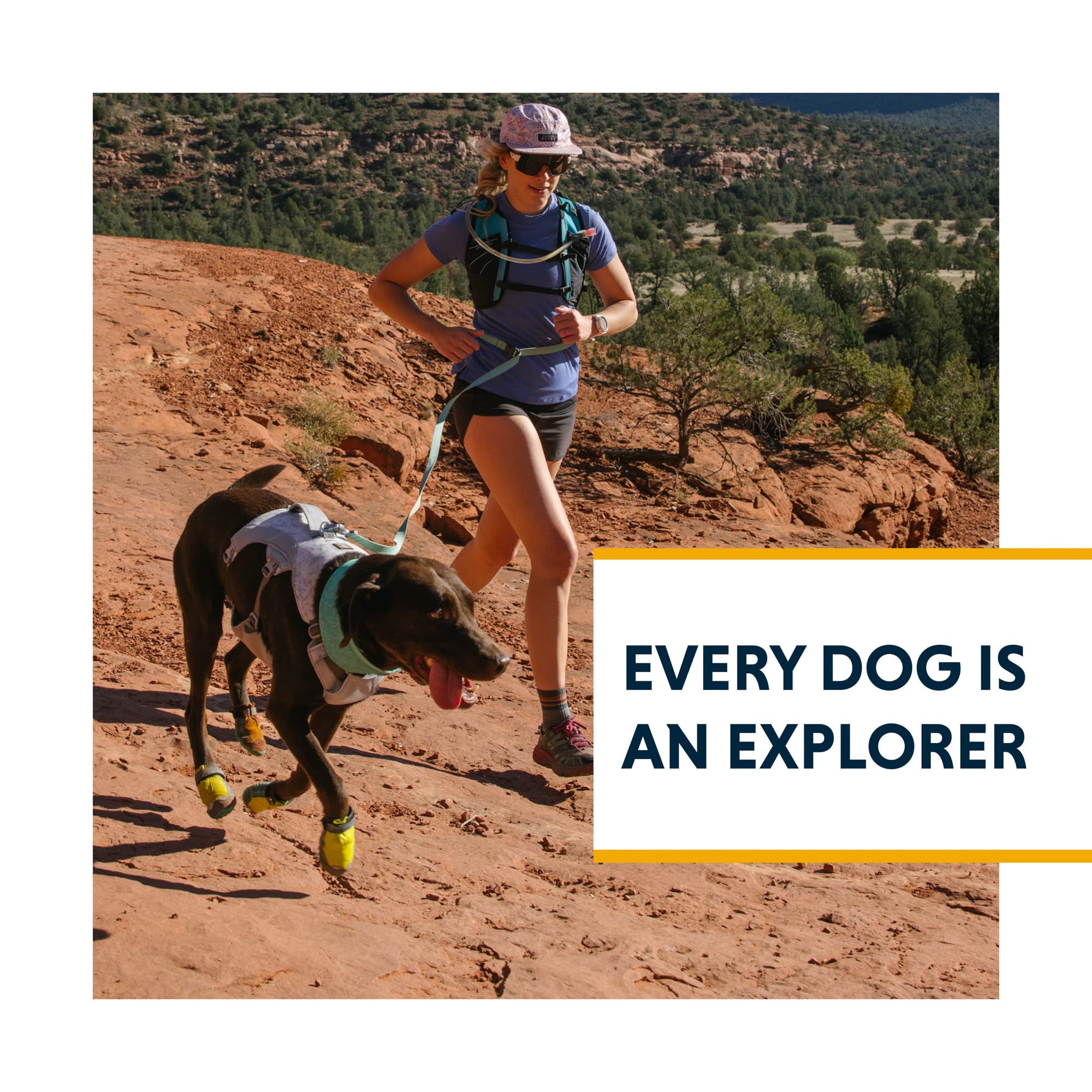 Ruffwear Swamp Cooler protección solar UPF50 para días soleados