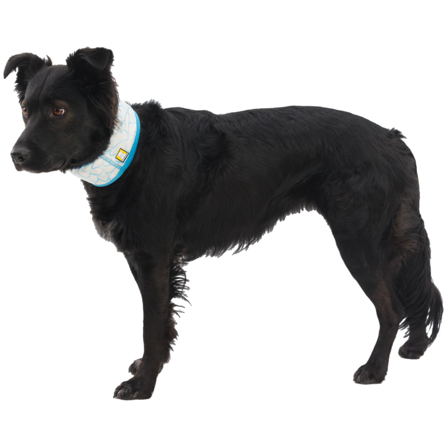 Ruffwear Swamp Cooler diseño reversible con dos estilos prácticos para el día