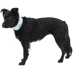 Ruffwear Swamp Cooler tejido elástico suave para un ajuste cómodo.