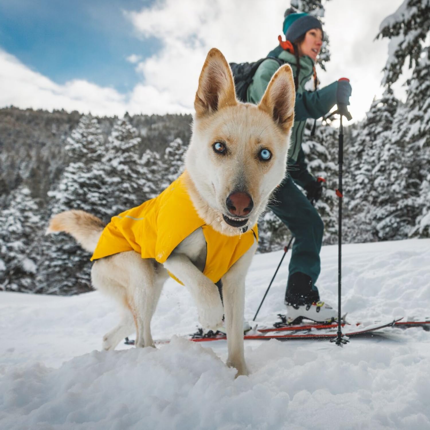 Ruffwear Vert Dog bandas reflectantes mejoran visibilidad en poca luz.
