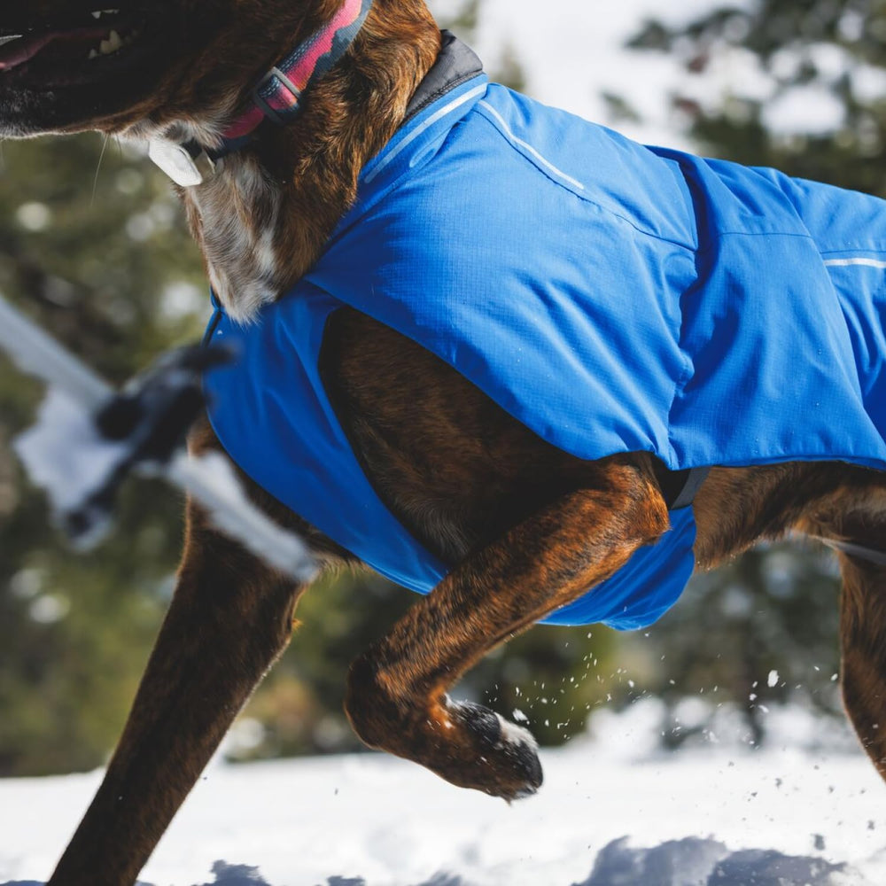 Ruffwear Vert Dog Winter Jacket bucles para patas para mayor estabilidad