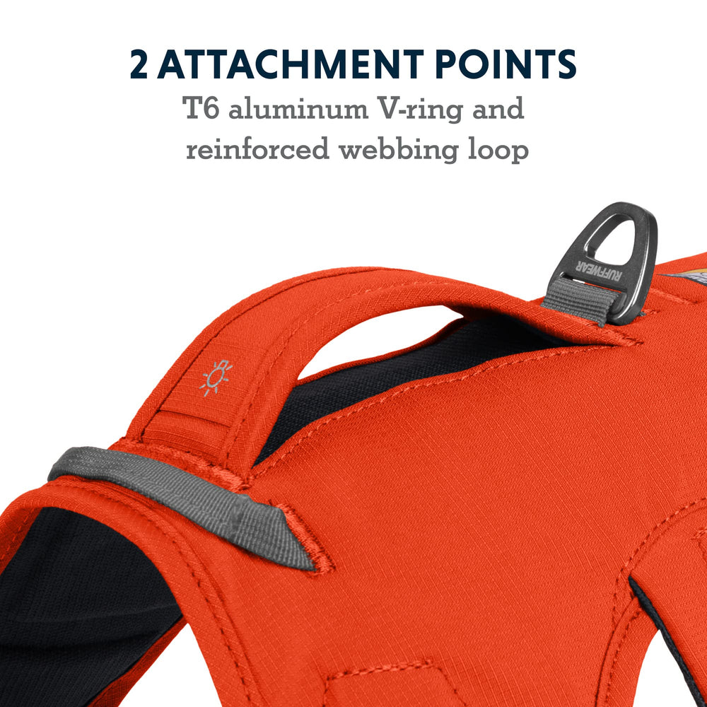 Ruffwear Web Master con soporte de cuerpo completo para perros mayores o en recuperación