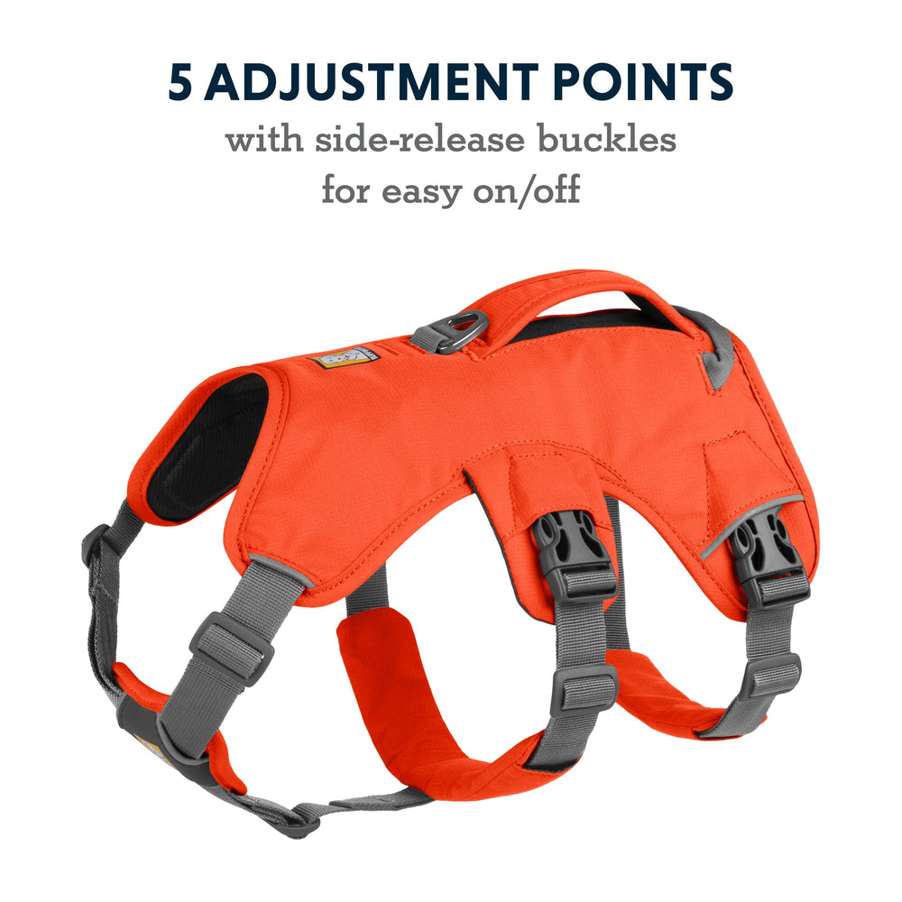 Ruffwear Web Master con triple punto de enganche para entrenamiento y caminatas
