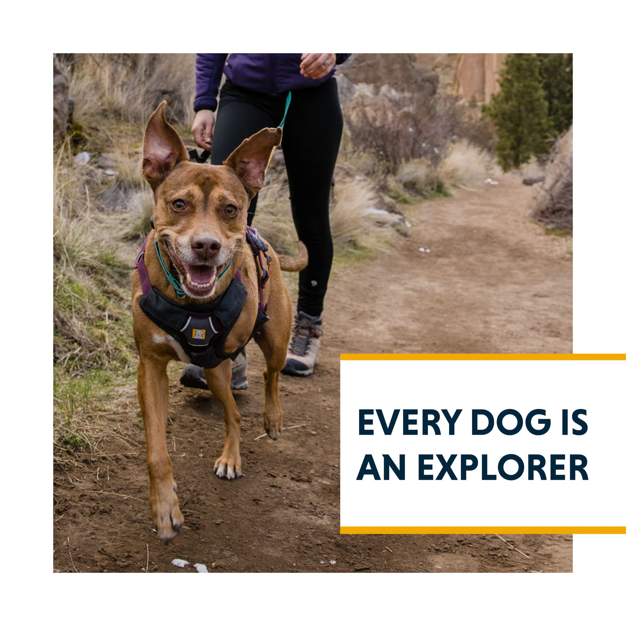Ruffwear Web Master diseñado para uso diario y comodidad en distintas actividades