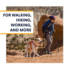 Ruffwear Web Master en uso para asistencia en movilidad con asa reforzada