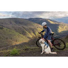 Ruffwear Web Master: guía de tallas y video para ajuste preciso.
