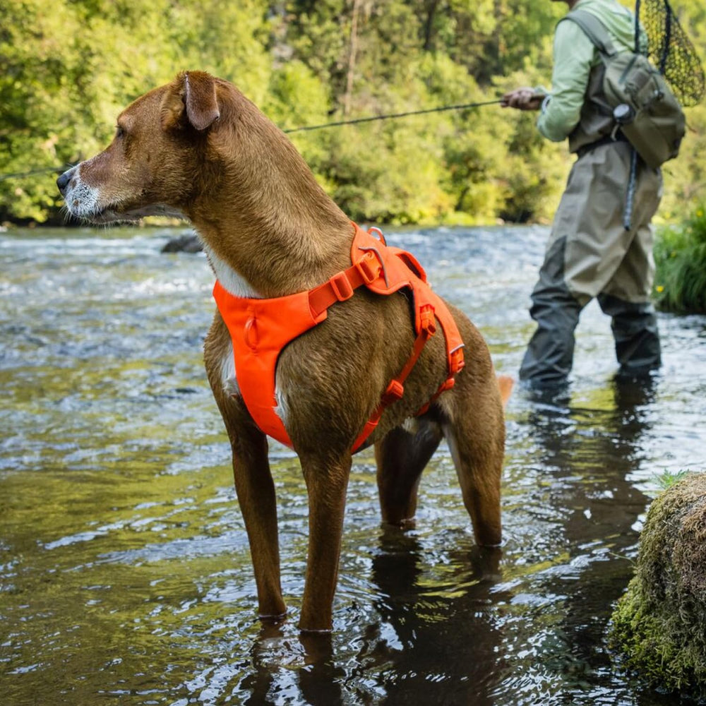 Material duradero y transpirable con ribete reflectante en Ruffwear Web Master.