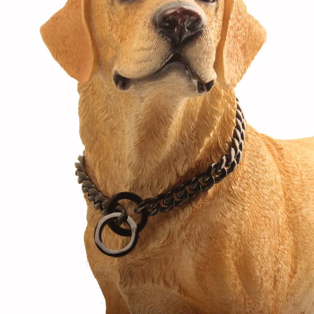 RUMYPET collar para paseo diario, estilo duradero para perros activos.