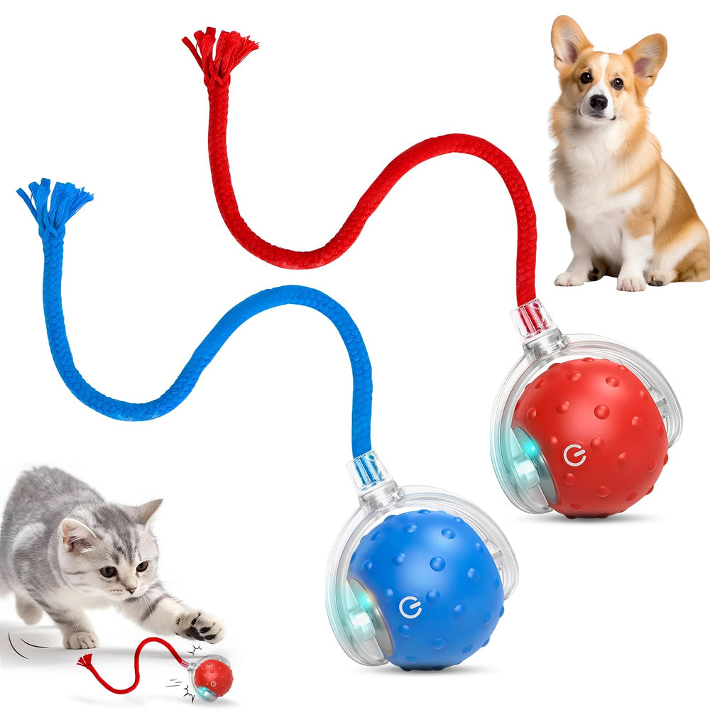 RunBuxd Tinyfetch: bola interactiva 360°, perfecta para ejercitarse dentro y fuera de casa.