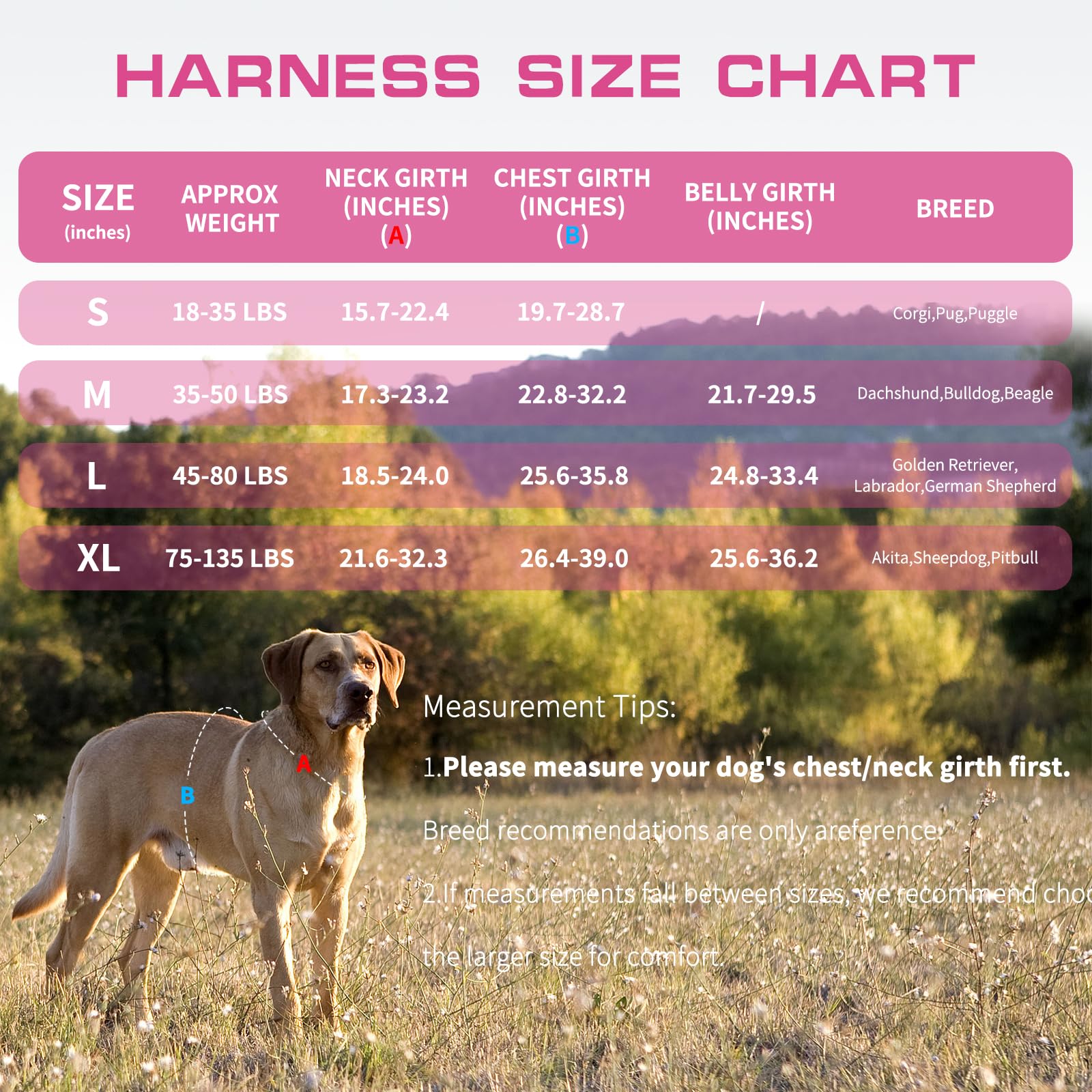 RunFido arnés perro grande con dos asideros para control rápido.