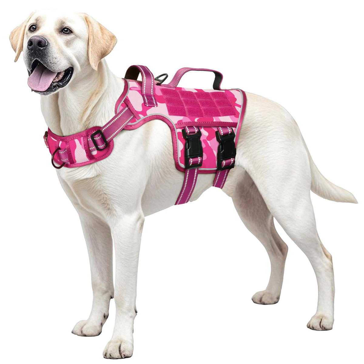 RunFido arnés para perro grande visto de frente con clip frontal para control suave.