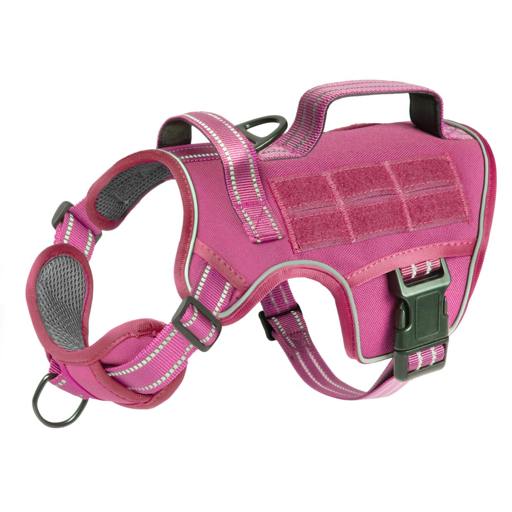 RunFido arnés para perro pequeño con manejo dorsal para paseos relajados