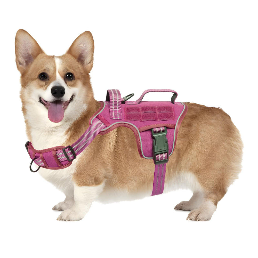 RunFido arnés para perro pequeño con reflectante para mayor visibilidad nocturna