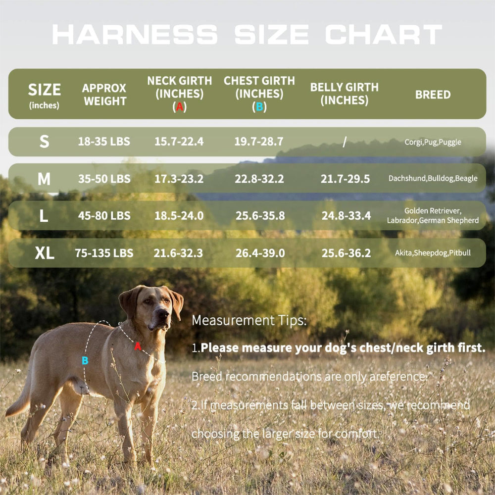 RunFido arnés con sistema molle para accesorios.