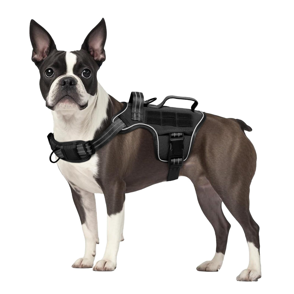 RunFido chaleco para perro pequeño con cinta reflectante para visibilidad nocturna
