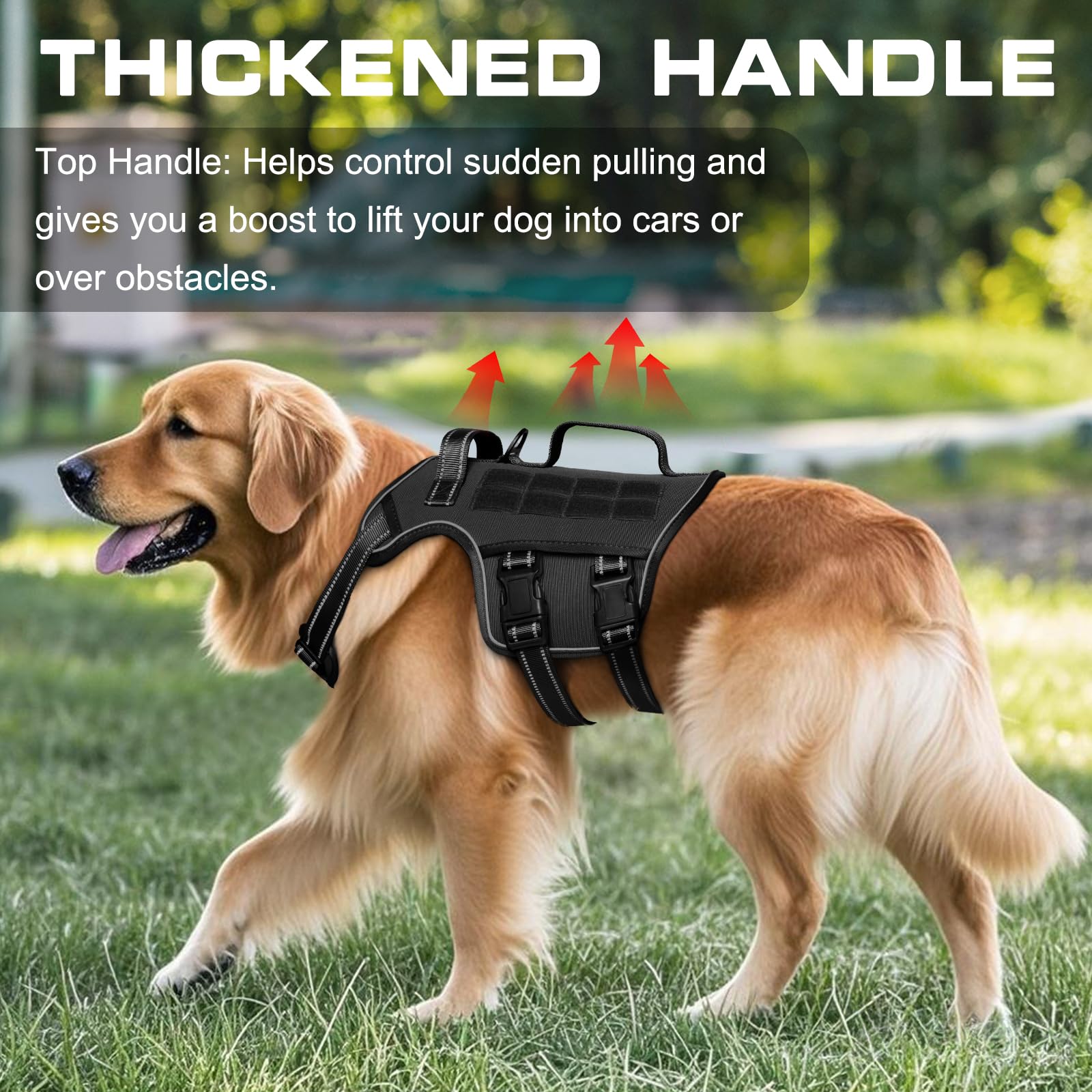 RunFido chaleco para perro pequeño con dos cierres rápidos para vestir sin esfuerzo