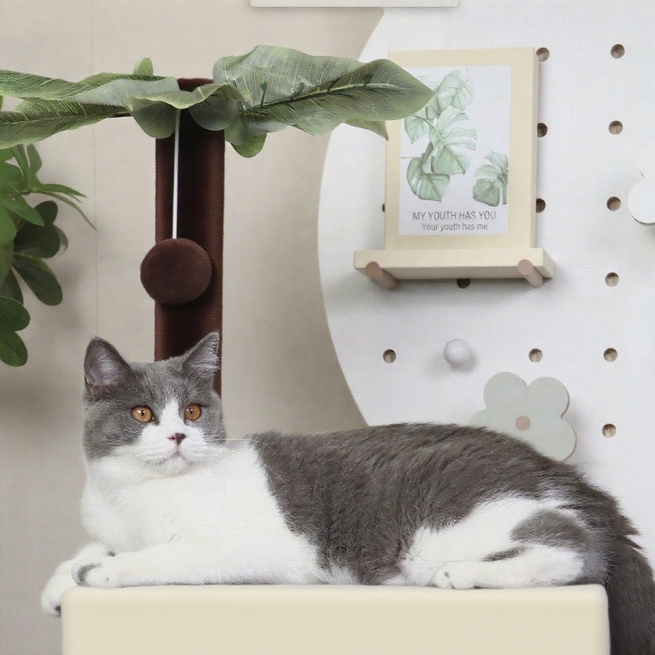Runske arbol gatos 41 pulgadas interior suave: confort con forro felpa.