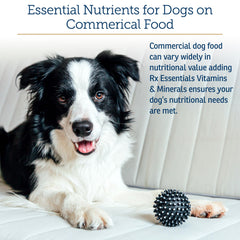 Rx Vitamins para perros, spirulina azul: apoyo antioxidante para energía diaria