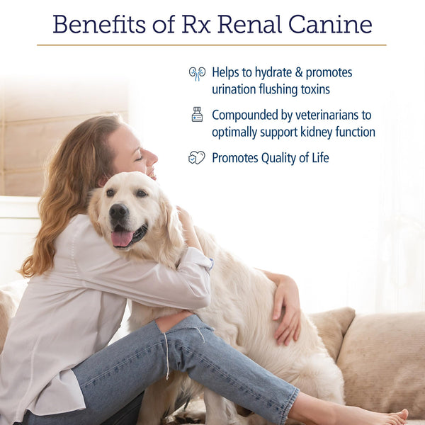 Rx Renal cordyceps, suplemento antioxidante para perros.