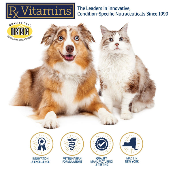 Rx Renal ginkgo biloba, ayuda antioxidante para perros.