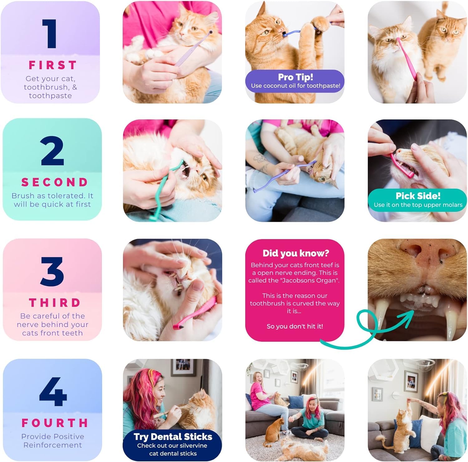 RYERCAT cepillo dental para gatos y perros pequeños, tamaño mini para bocas pequeñas.