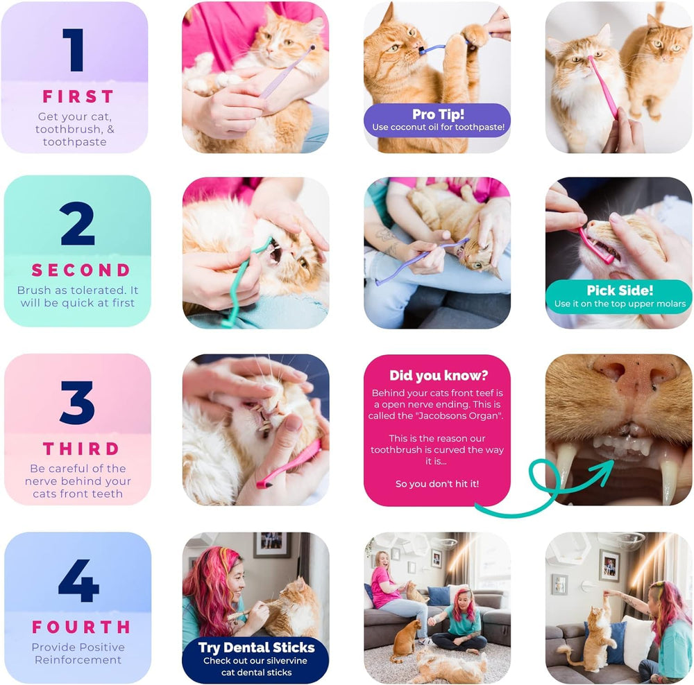 RYERCAT cepillo dental para gatos y perros pequeños, tamaño mini para bocas pequeñas.