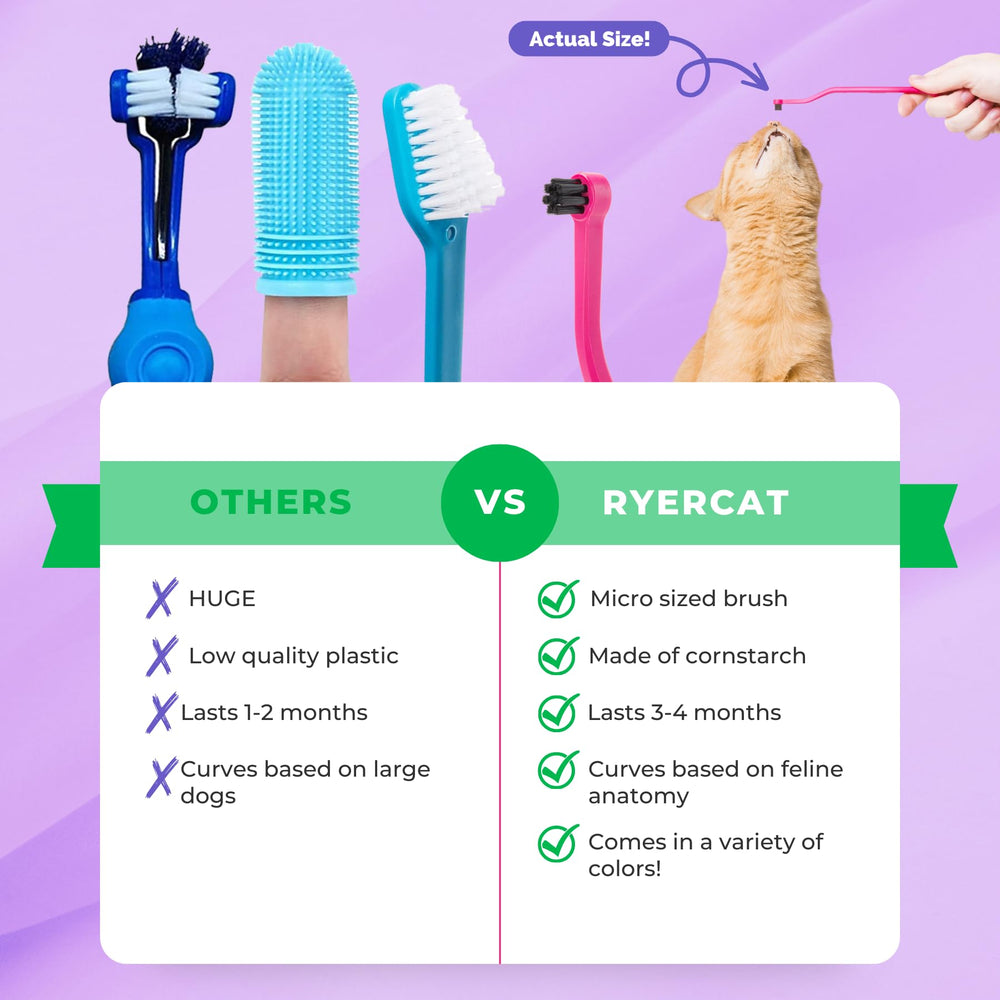 RYERCAT cepillo dental para gatos, colores vibrantes para diferenciar entre mascotas.