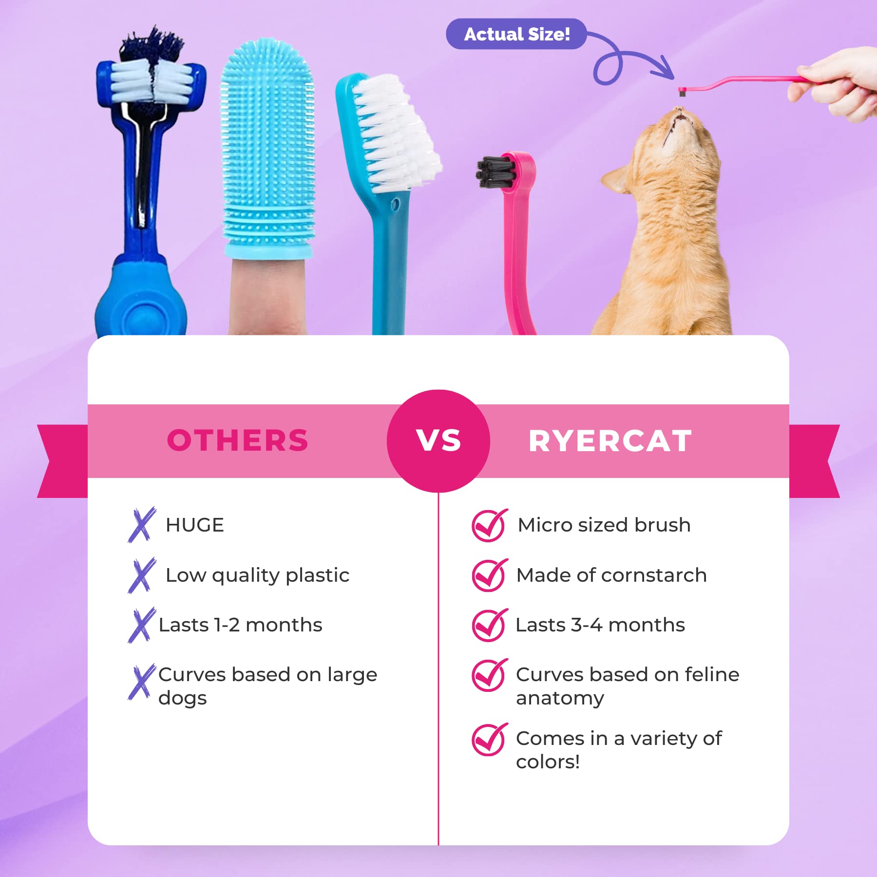 RYERCAT Flamingo cepillo colores variados diseño atractivo para motivar la higiene dental