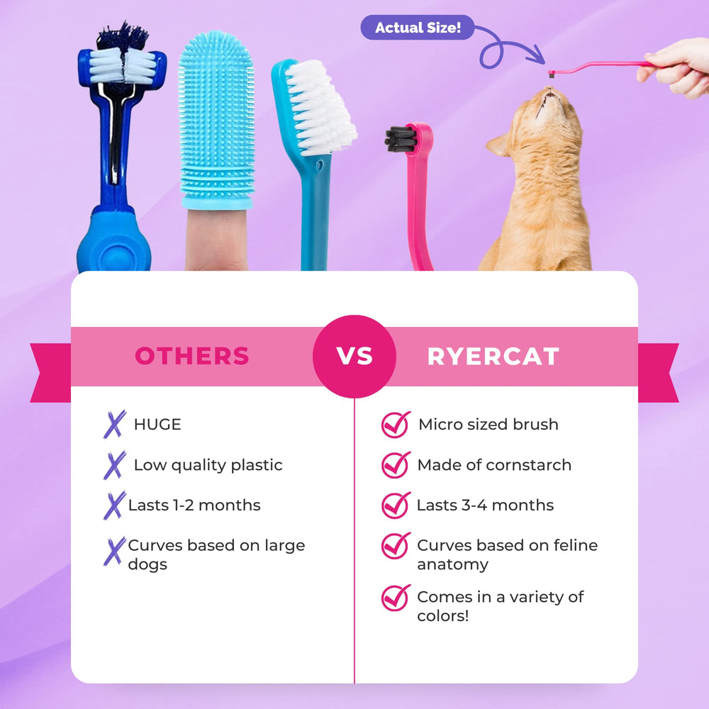 RYERCAT Flamingo cepillo colores variados diseño atractivo para motivar la higiene dental