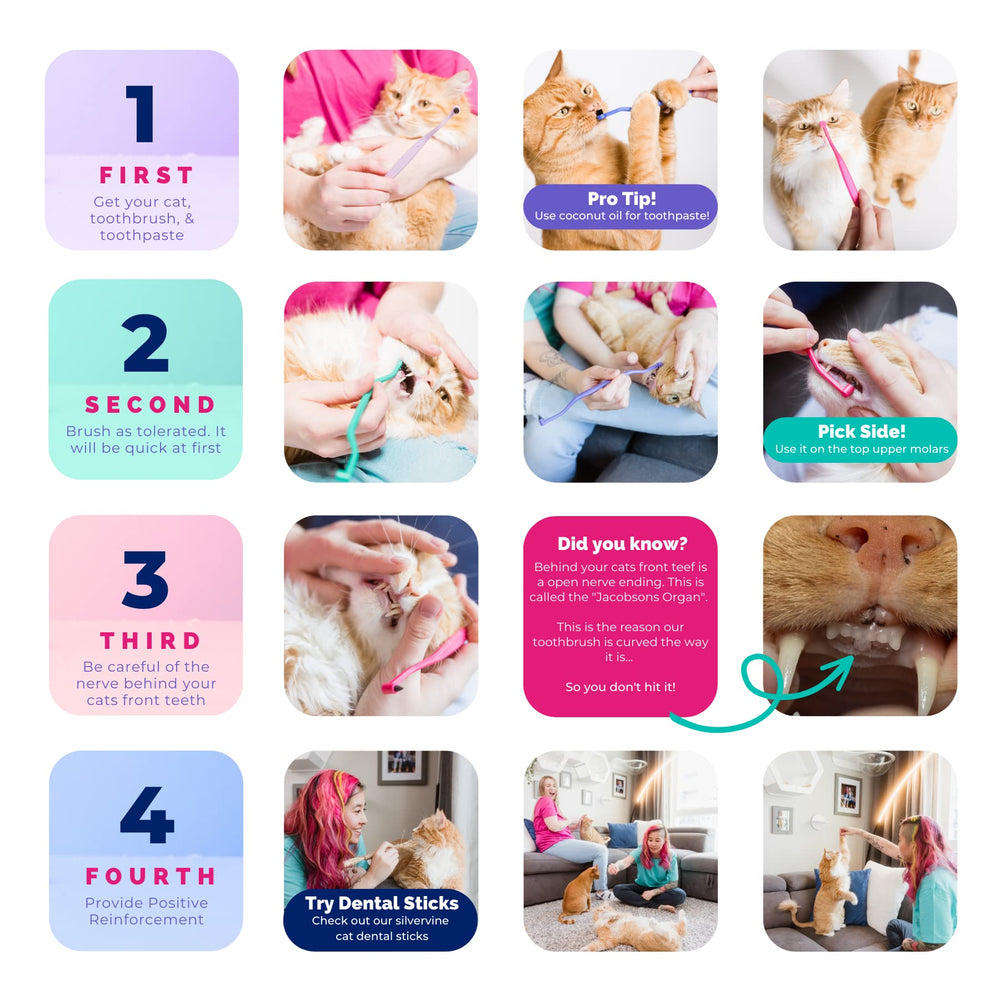 RYERCAT Flamingo limpieza dental precisa ayuda a retirar residuos en molares traseros