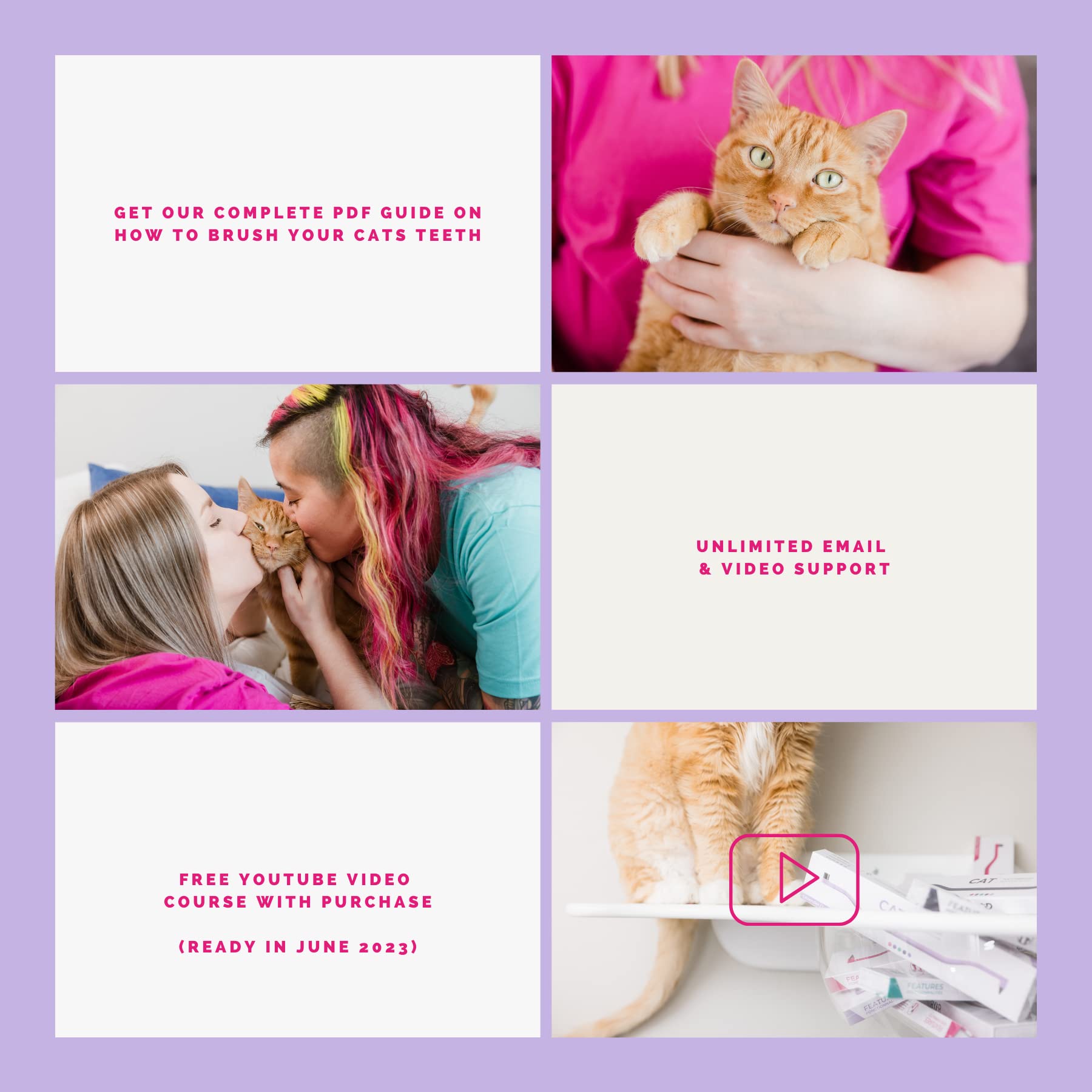 RYERCAT Flamingo recursos educativos guía de uso para cepillado de gatos